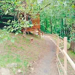 Les Axeens